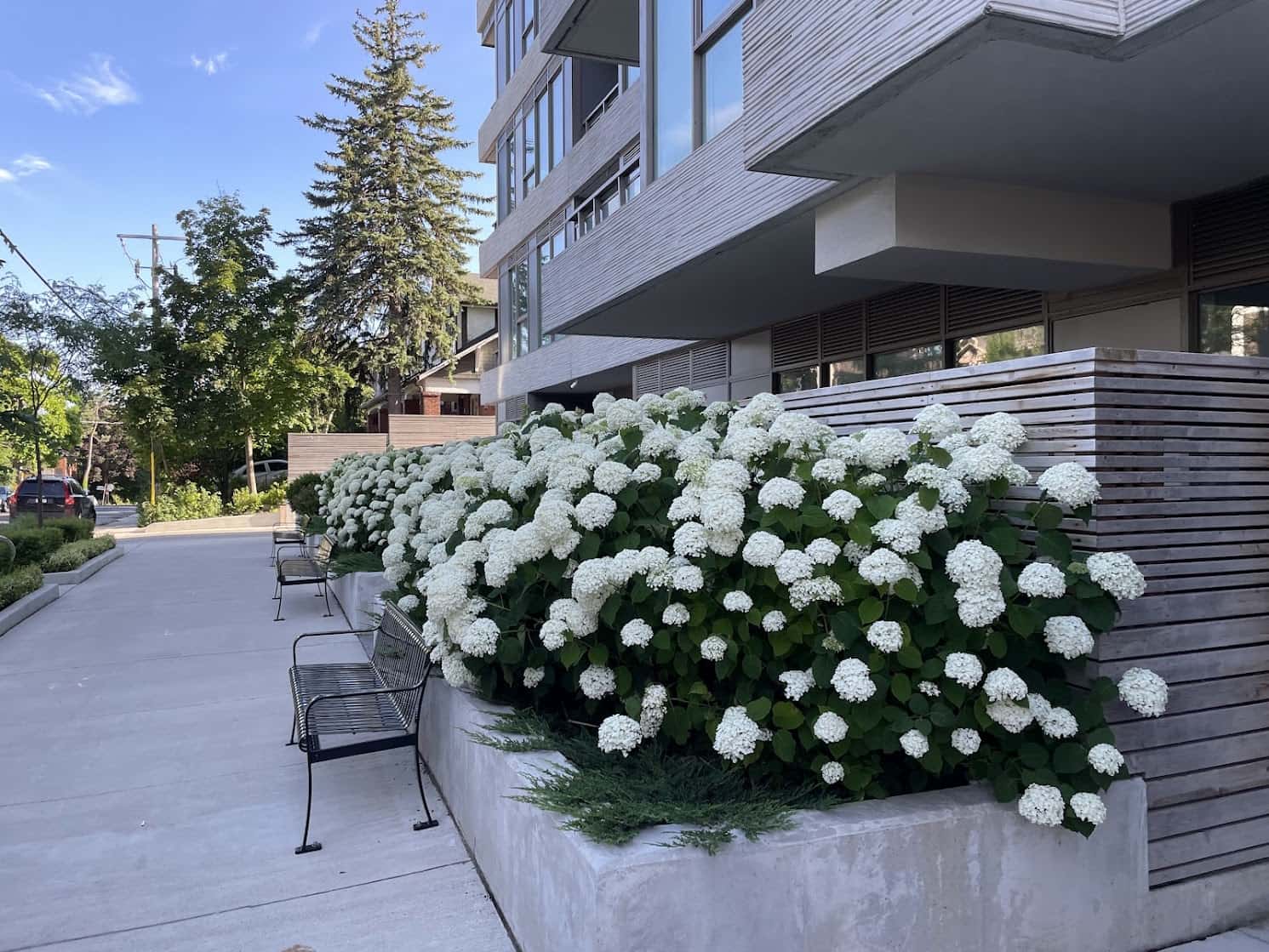 One Cardiff Road — photo 6